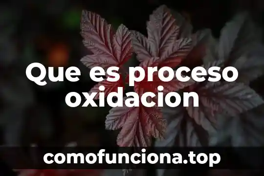 Que es proceso de vinculación y difusión de la cultura 7 Que es proceso oxidacion