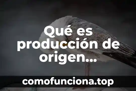Qué es el escudo nacional de Colombia 6 Qué es producción de origen nacional