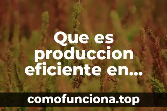 En economia que es avc 3 Que es produccion eficiente en economia