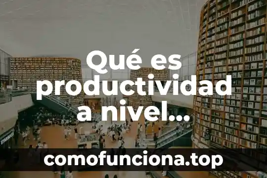 Qué es el escudo nacional de Colombia 8 Qué es productividad a nivel nacional