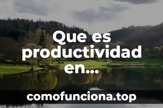 Que es oficina de representación administración pública 4 Que es productividad en administración de la producción
