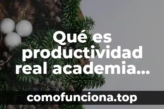 Que es el arte real academia española 6 Qué es productividad real academia española