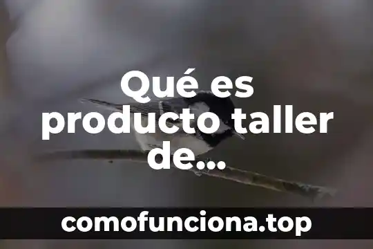 Taller mecanico automotriz que es 6 Qué es producto taller de emprendedores