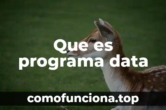 Que significa o que es un gmt en informatica 3 Que es programa data