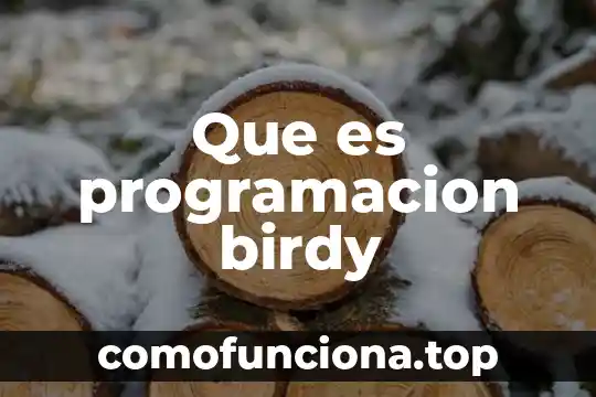Que es el crm en programacion 3 Que es programacion birdy