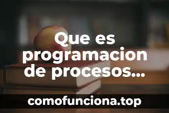 Que es los elentos de los procesos educativos 5 Que es programacion de procesos productivos