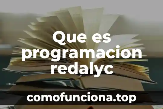 Que es el estado del arte redalyc 4 Que es programacion redalyc