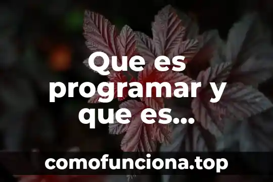 Que es la clave sol y peyagrama y compas 5 Que es programar y que es programa