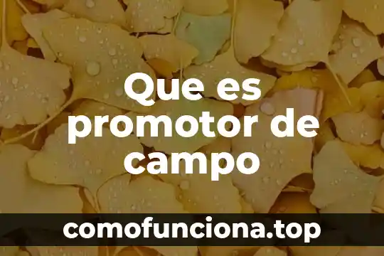 Qué es un subsolador en el campo 8 Que es promotor de campo
