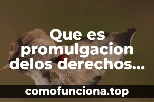 Qué es la capacidad definición para niños 4 Que es promulgacion delos derechos de los niños
