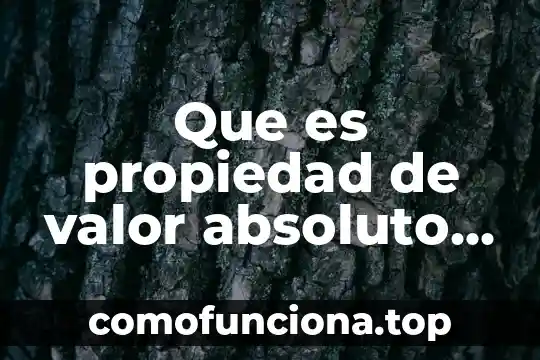 Que es la conciencia y la relacion con lo absoluto 7 Que es propiedad de valor absoluto b