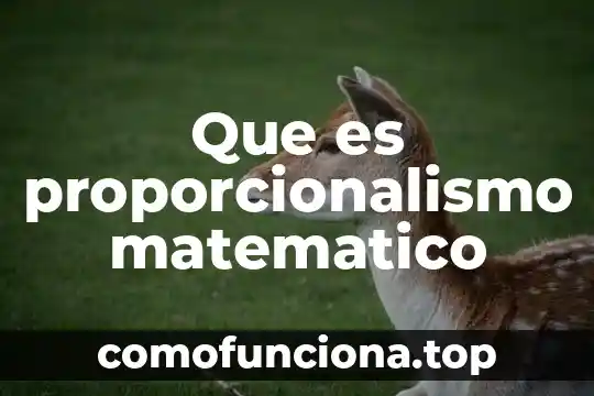 Qué es un espiral de durero matemático 3 Que es proporcionalismo matematico