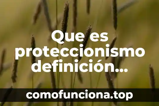 Qué es la paz definición corta 6 Que es proteccionismo definición corta