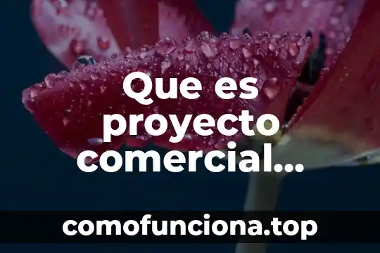 Que es outsourcing comercial 3 Que es proyecto comercial dirigido a la mercadotecnia