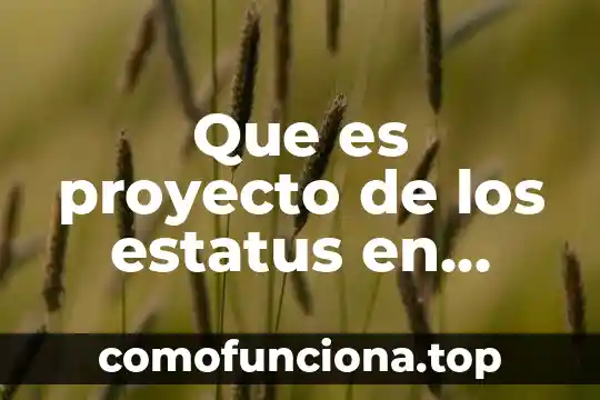 Que es el sujeto mercantil y su historia 4 Que es proyecto de los estatus en mercantil