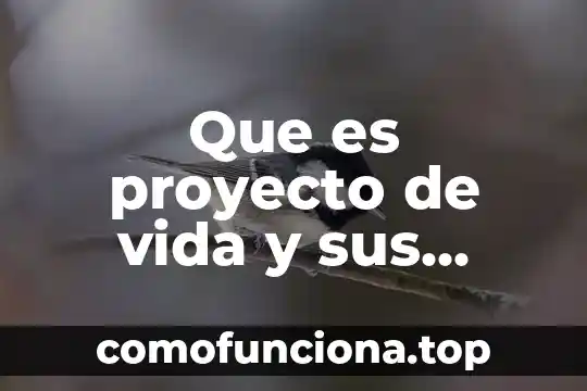 Qué es anatomía y cual es concepto 4 Que es proyecto de vida y sus caracteristicas