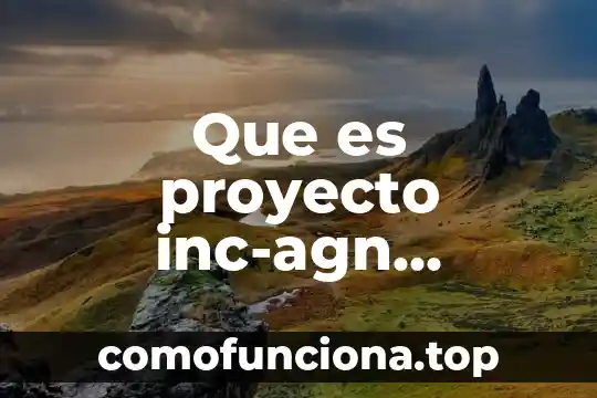 Qué es un proyecto insignia 5 Que es proyecto inc-agn nicaragua