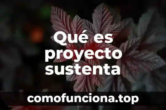 Qué es un proyecto insignia 4 Qué es proyecto sustenta