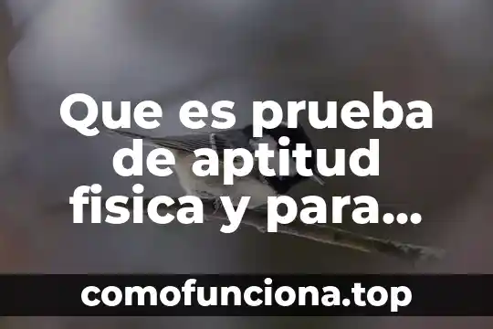 Qué es la aptitud física concepto 3 Que es prueba de aptitud fisica y para que sirve