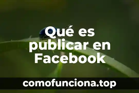 Red lógica que es 4 Qué es publicar en Facebook