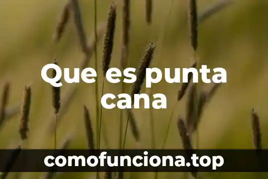 Para que es el papel punta 8 Que es punta cana
