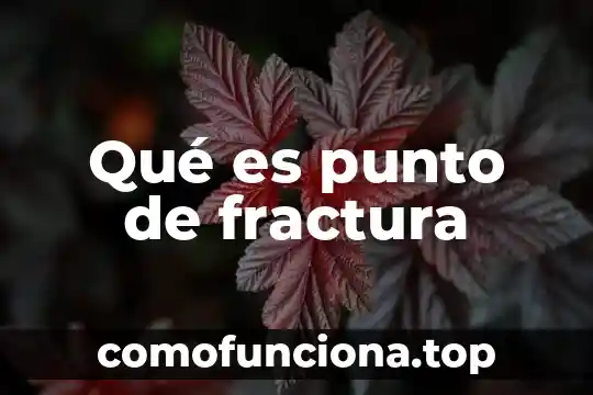 Zorba el griego que es 4 Qué es punto de fractura