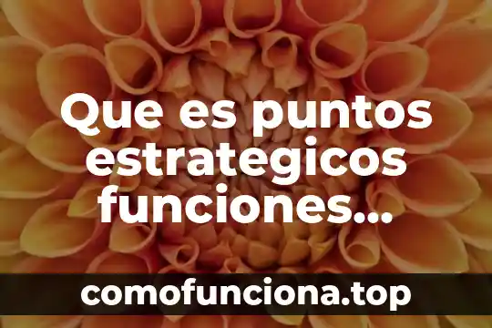 Dieta por puntos que es 7 Que es puntos estrategicos funciones racionales