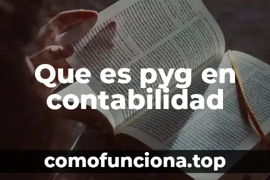 Que es el concepto clasico 8 Que es pyg en contabilidad