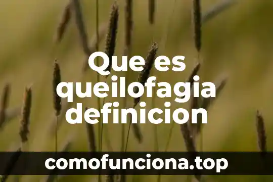Qué es un percance definición 4 Que es queilofagia definicion