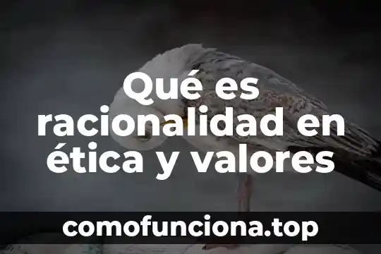 Jerarquia de valores que es 6 Qué es racionalidad en ética y valores