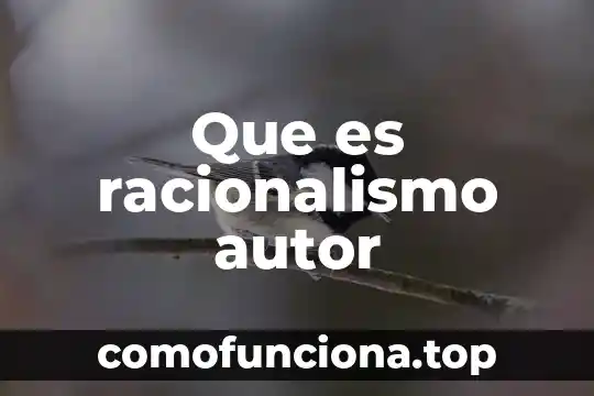 Odoo que es con autor 5 Que es racionalismo autor