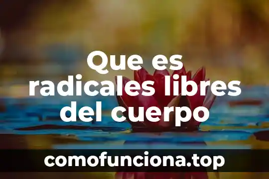 Qué es el movimiento Tupac Amaru 4 Que es radicales libres del cuerpo