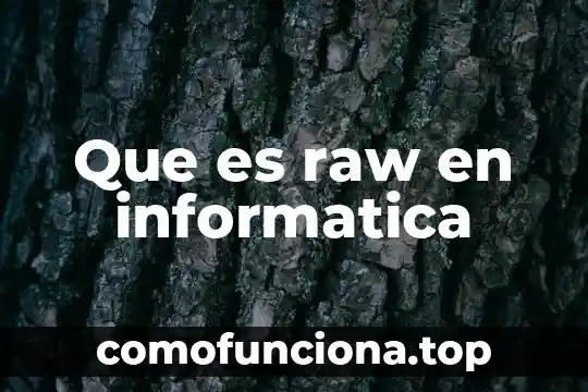 Que es un conocimiento en informatica 8 Que es raw en informatica