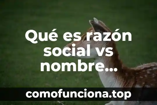 Que es sujeto comercial 3 Qué es razón social vs nombre comercial