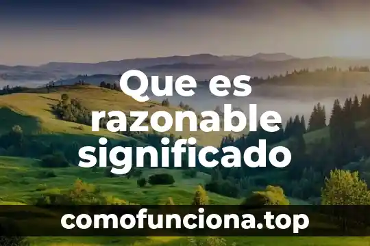 Qué es consistentes significado 8 Que es razonable significado