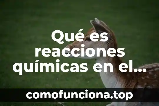 Tioeteres reacciones ejemplos que es el sh 4 Qué es reacciones químicas en el organismo