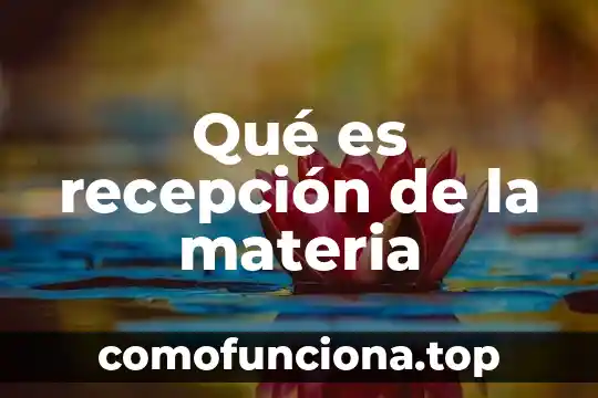 Que es el principio de oficialidad en materia penal 5 Qué es recepción de la materia