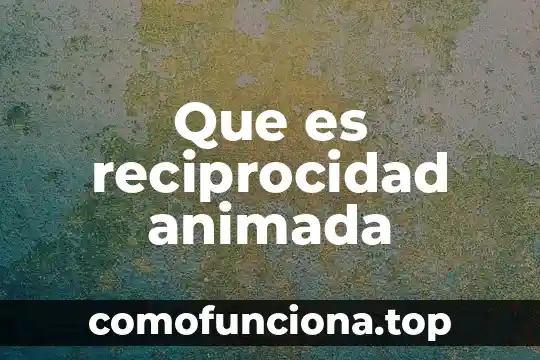 Que es reciprocidad significado 6 Que es reciprocidad animada
