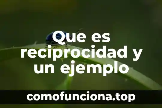 Que es reciprocidad significado 8 Que es reciprocidad y un ejemplo