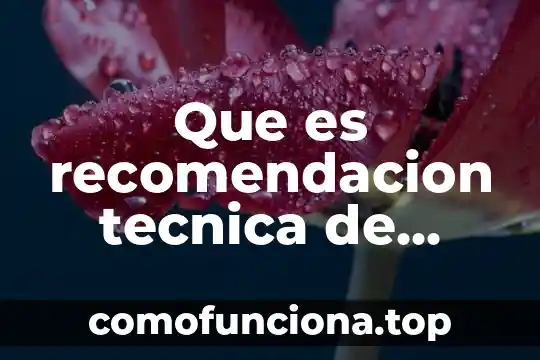 Qué es lo que debe contener una carta de recomendación 3 Que es recomendacion tecnica de sistemas silvopastoriles