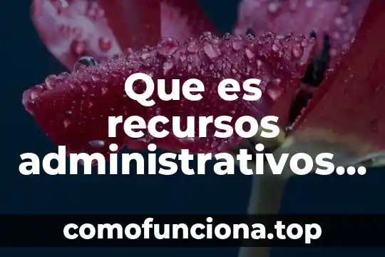 Que es el significado de empresas ser 8 Que es recursos administrativos en empresas