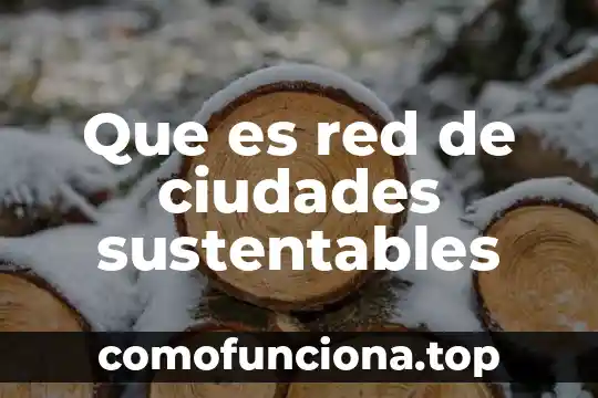 Que es una red de empresas sustentables 5 Que es red de ciudades sustentables