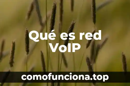 Tarjeta interfaz de red que es 8 Qué es red VoIP