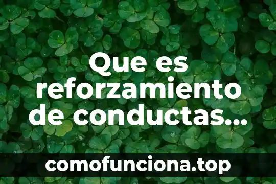 Que es inferencia en psicologia cognitiva 5 Que es reforzamiento de conductas en la psicologia