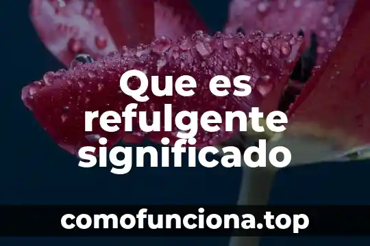 Que es indumentaria y su significado 4 Que es refulgente significado