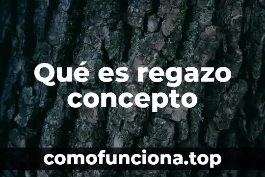 Que es el concepto de las lineas paralelas 7 Qué es regazo concepto