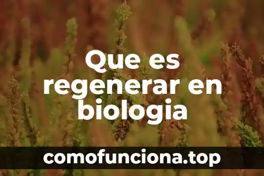 Que es leyes de herencia 8 Que es regenerar en biologia
