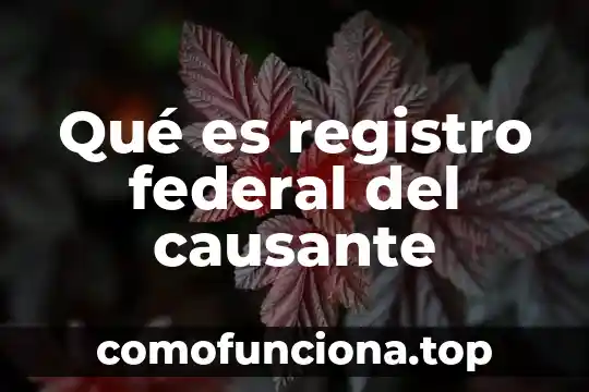 Que es el registro de movimiento financiero 4 QuƩ es registro federal del causante