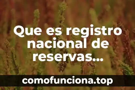 Significado de que es un problema a nivel nacional 4 Que es registro nacional de reservas territoriales renaret