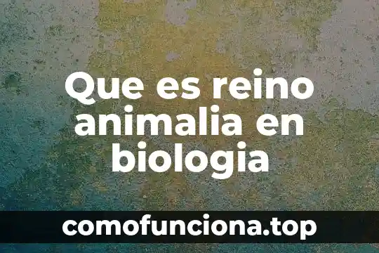 Que es el reino animal 7 Que es reino animalia en biologia